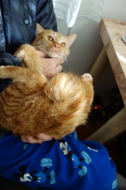 f:id:hiraryo0201:20161207092247j:plain f:id:hiraryo0201:20161207092247j:plain