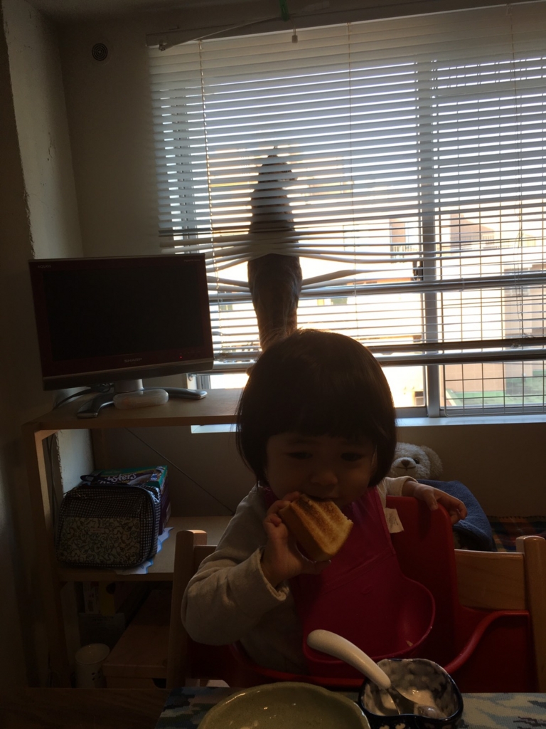f:id:hiraryo0201:20161211173446j:plain f:id:hiraryo0201:20161211173446j:plain