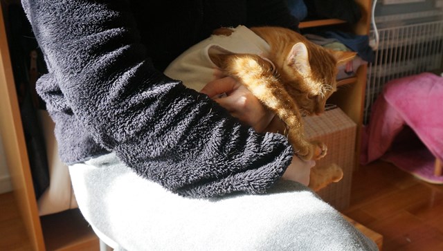 f:id:hiraryo0201:20161211175308j:plain f:id:hiraryo0201:20161211175308j:plain