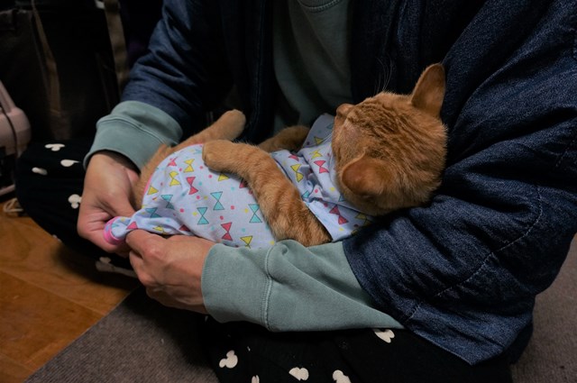 f:id:hiraryo0201:20161211175333j:plain f:id:hiraryo0201:20161211175333j:plain