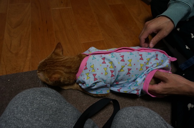 f:id:hiraryo0201:20161211175339j:plain f:id:hiraryo0201:20161211175339j:plain