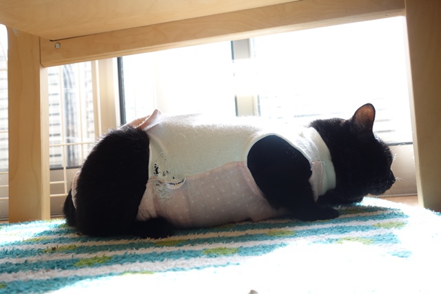 f:id:hiraryo0201:20161211175407j:plain f:id:hiraryo0201:20161211175407j:plain