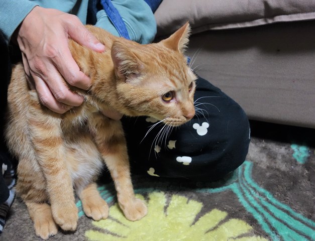 f:id:hiraryo0201:20161220105636j:plain f:id:hiraryo0201:20161220105636j:plain