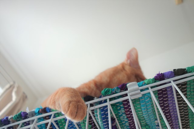 f:id:hiraryo0201:20161220105802j:plain f:id:hiraryo0201:20161220105802j:plain