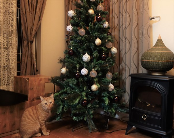 f:id:hiraryo0201:20161225202652j:plain f:id:hiraryo0201:20161225202652j:plain