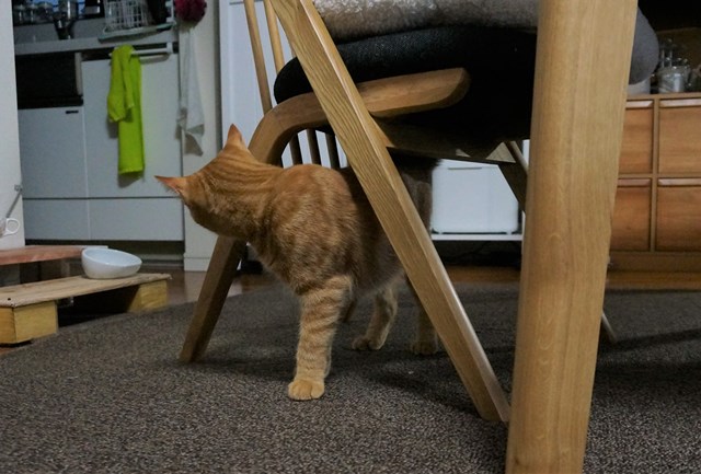 f:id:hiraryo0201:20161230104236j:plain f:id:hiraryo0201:20161230104236j:plain