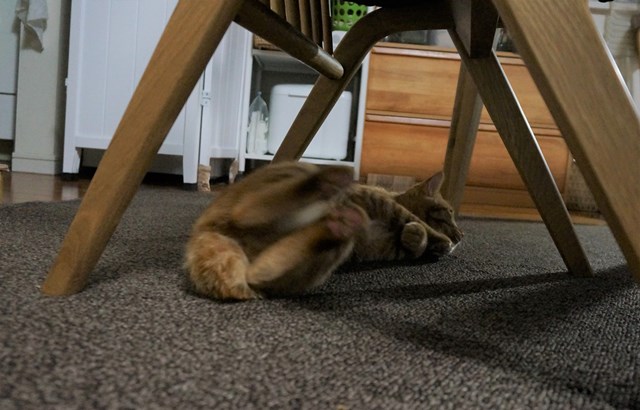 f:id:hiraryo0201:20161230104242j:plain f:id:hiraryo0201:20161230104242j:plain