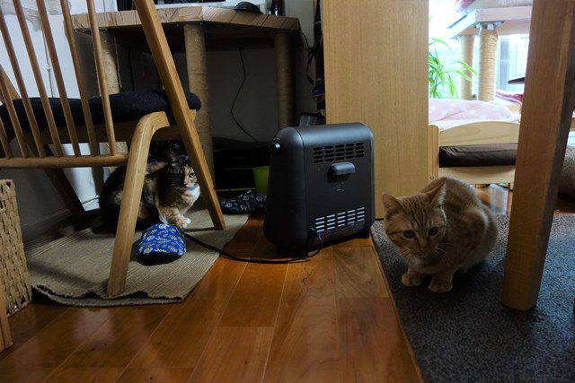 f:id:hiraryo0201:20161230104339j:plain f:id:hiraryo0201:20161230104339j:plain