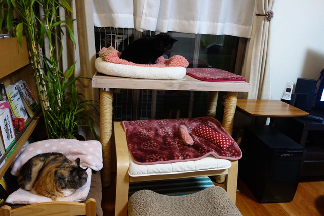 f:id:hiraryo0201:20161230111911j:plain