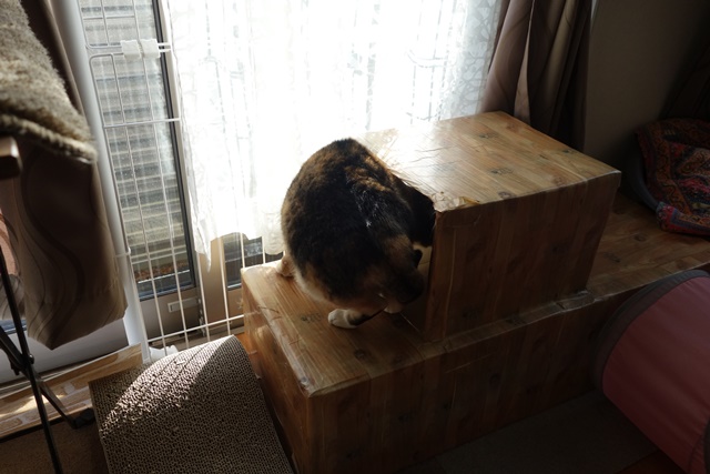 f:id:hiraryo0201:20170109175247j:plain f:id:hiraryo0201:20170109175247j:plain