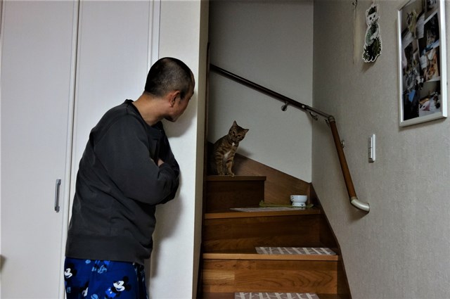 f:id:hiraryo0201:20170109175339j:plain f:id:hiraryo0201:20170109175339j:plain