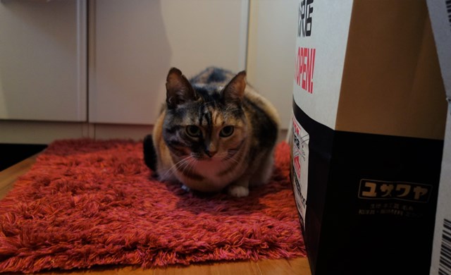 f:id:hiraryo0201:20170115084924j:plain f:id:hiraryo0201:20170115084924j:plain