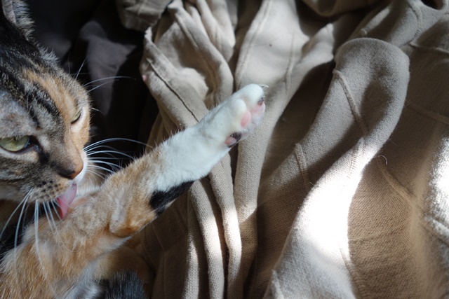 f:id:hiraryo0201:20170115090347j:plain f:id:hiraryo0201:20170115090347j:plain