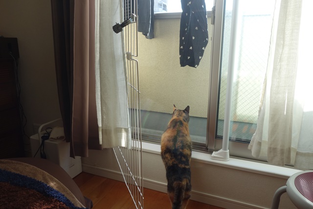 f:id:hiraryo0201:20170115090410j:plain f:id:hiraryo0201:20170115090410j:plain