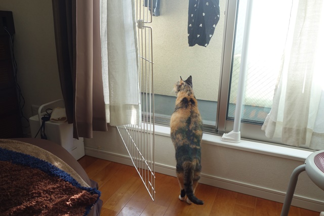 f:id:hiraryo0201:20170115090418j:plain f:id:hiraryo0201:20170115090418j:plain