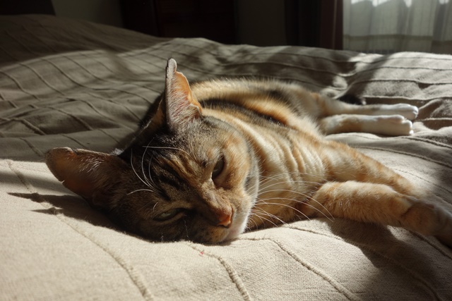 f:id:hiraryo0201:20170115093040j:plain f:id:hiraryo0201:20170115093040j:plain