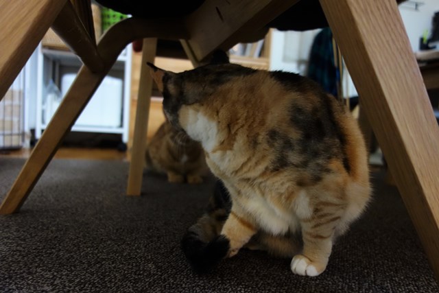 f:id:hiraryo0201:20170115093212j:plain f:id:hiraryo0201:20170115093212j:plain