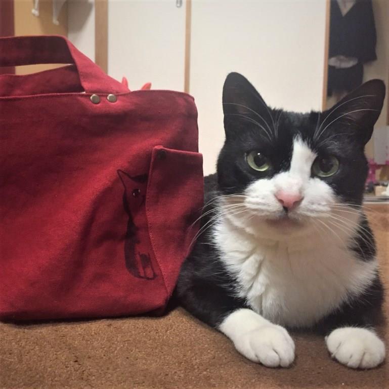 f:id:hiraryo0201:20170121083035j:plain f:id:hiraryo0201:20170121083035j:plain