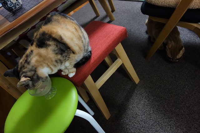 f:id:hiraryo0201:20170129094608j:plain