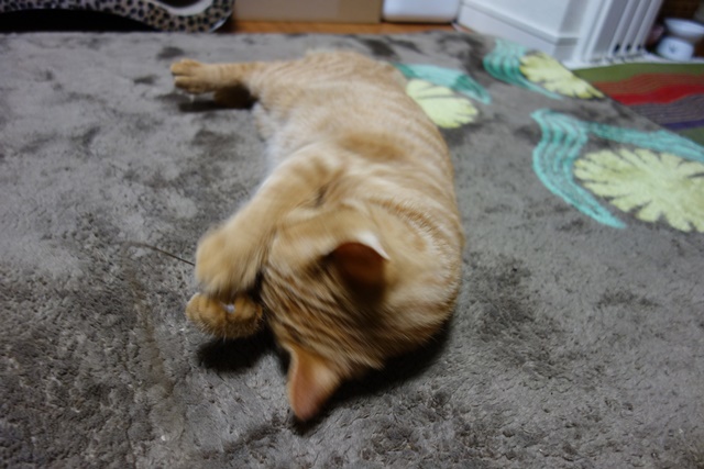 f:id:hiraryo0201:20170204105440j:plain