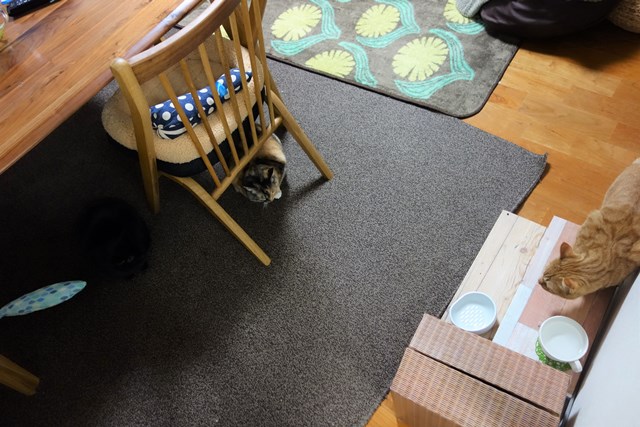 f:id:hiraryo0201:20170207214241j:plain