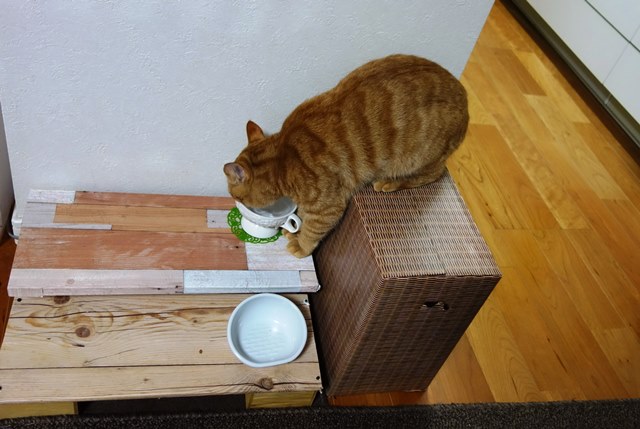 f:id:hiraryo0201:20170210201937j:plain