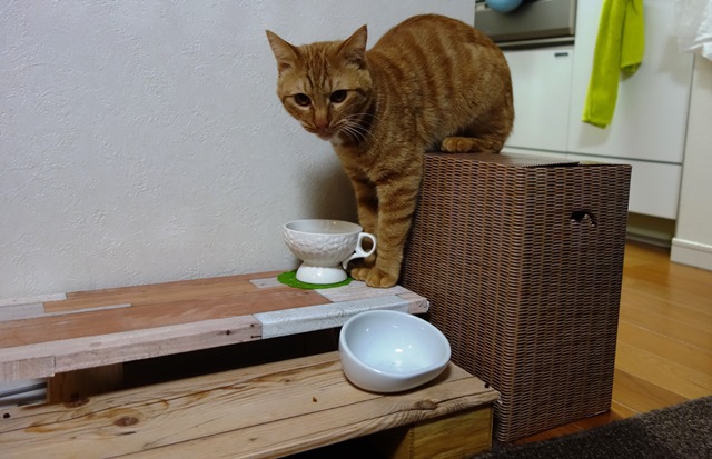 f:id:hiraryo0201:20170210201944j:plain