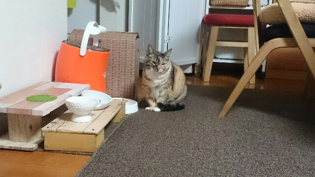 f:id:hiraryo0201:20170220073706j:image f:id:hiraryo0201:20170220073706j:image