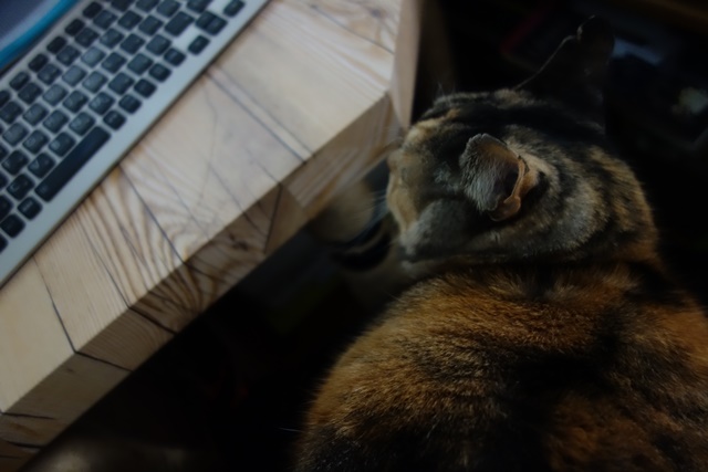 f:id:hiraryo0201:20170304143634j:plain f:id:hiraryo0201:20170304143634j:plain