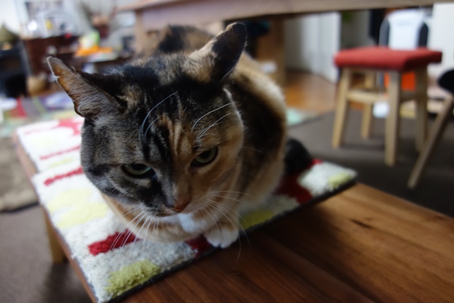 f:id:hiraryo0201:20170304143657j:plain