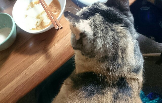 f:id:hiraryo0201:20170310081508j:image