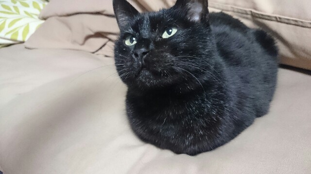 f:id:hiraryo0201:20170319071832j:image f:id:hiraryo0201:20170319071832j:image