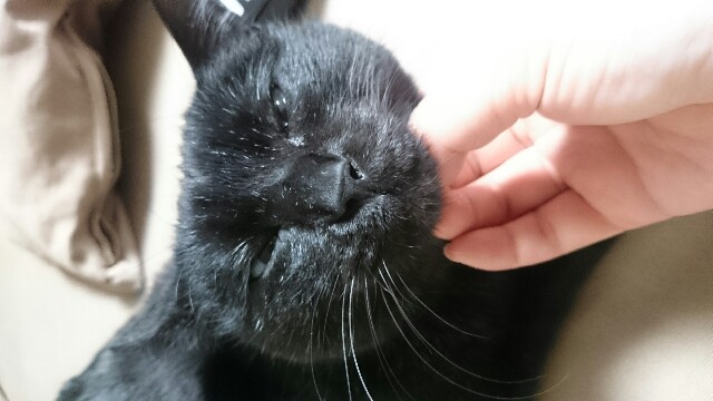 f:id:hiraryo0201:20170319072150j:image f:id:hiraryo0201:20170319072150j:image