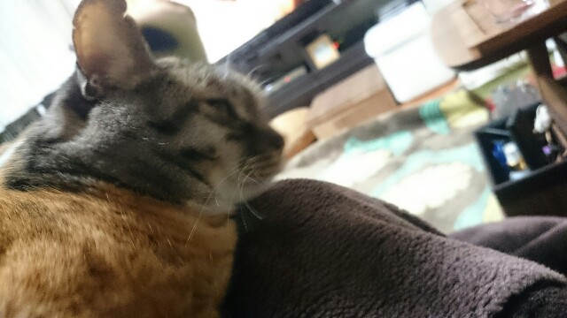 f:id:hiraryo0201:20170319072346j:image f:id:hiraryo0201:20170319072346j:image