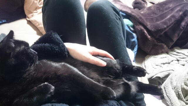 f:id:hiraryo0201:20170319075952j:plain f:id:hiraryo0201:20170319075952j:plain