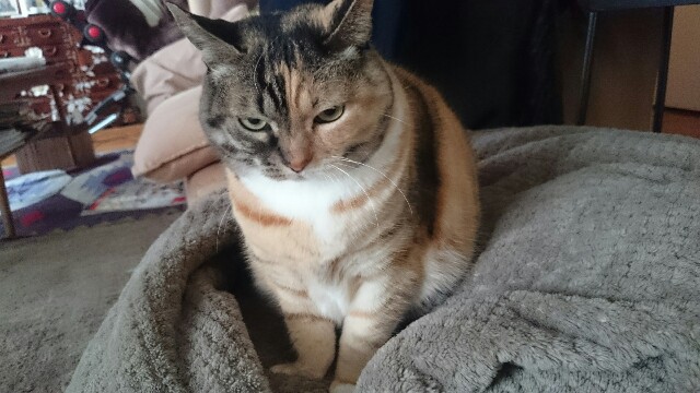 f:id:hiraryo0201:20170325142941j:image f:id:hiraryo0201:20170325142941j:image