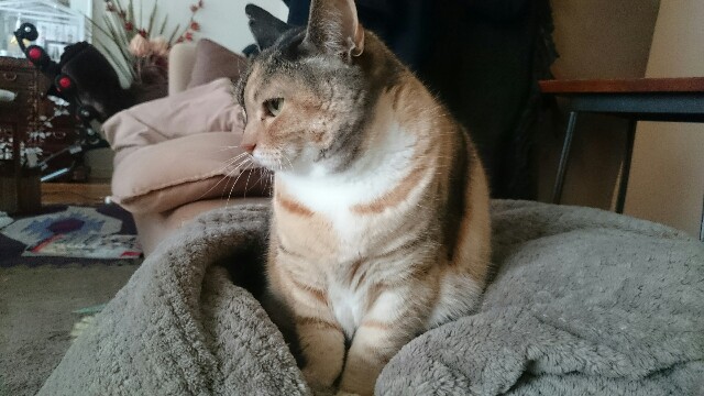 f:id:hiraryo0201:20170325142950j:image f:id:hiraryo0201:20170325142950j:image