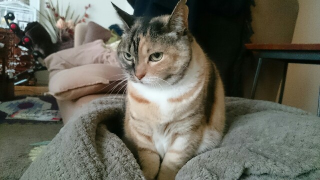 f:id:hiraryo0201:20170325143000j:image f:id:hiraryo0201:20170325143000j:image