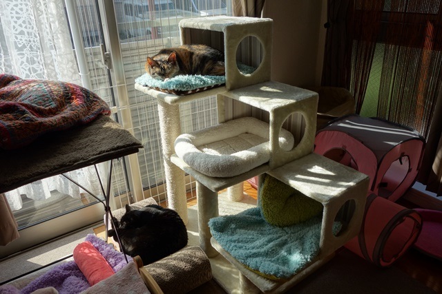 f:id:hiraryo0201:20170325201739j:plain f:id:hiraryo0201:20170325201739j:plain