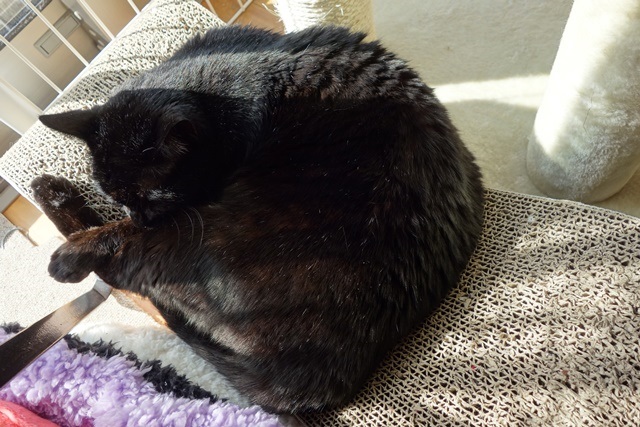 f:id:hiraryo0201:20170325201752j:plain f:id:hiraryo0201:20170325201752j:plain