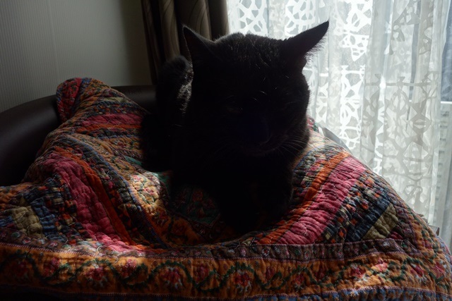 f:id:hiraryo0201:20170325201817j:plain f:id:hiraryo0201:20170325201817j:plain