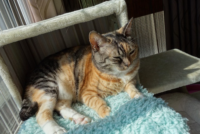 f:id:hiraryo0201:20170325201833j:plain f:id:hiraryo0201:20170325201833j:plain