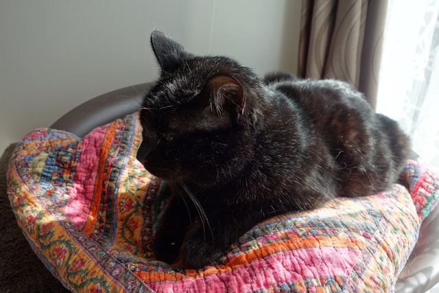 f:id:hiraryo0201:20170325201840j:plain f:id:hiraryo0201:20170325201840j:plain