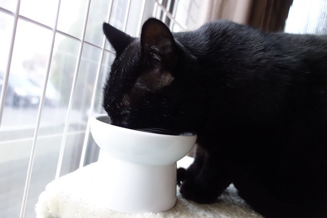 f:id:hiraryo0201:20170402105353j:plain