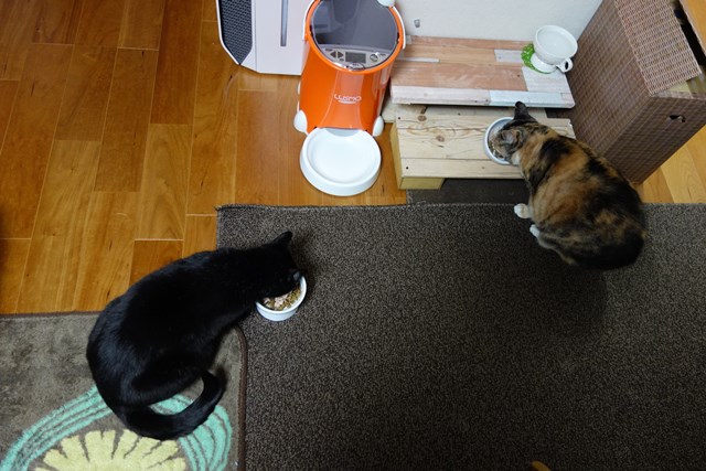 f:id:hiraryo0201:20170402110245j:plain f:id:hiraryo0201:20170402110245j:plain