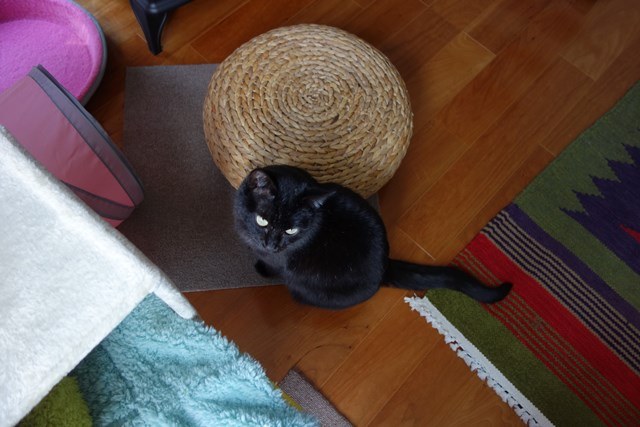 f:id:hiraryo0201:20170402110309j:plain f:id:hiraryo0201:20170402110309j:plain