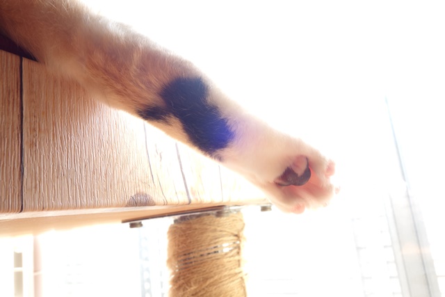 f:id:hiraryo0201:20170402112548j:plain f:id:hiraryo0201:20170402112548j:plain