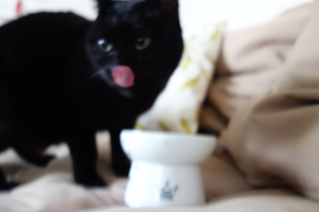 f:id:hiraryo0201:20170402112602j:plain f:id:hiraryo0201:20170402112602j:plain