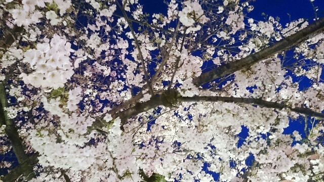 f:id:hiraryo0201:20170409084310j:image