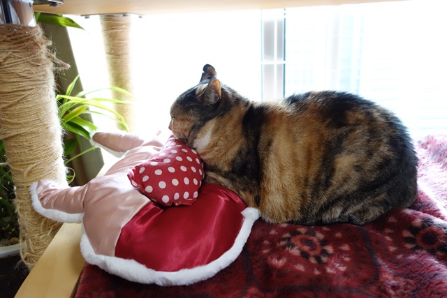 f:id:hiraryo0201:20170409214726j:plain f:id:hiraryo0201:20170409214726j:plain